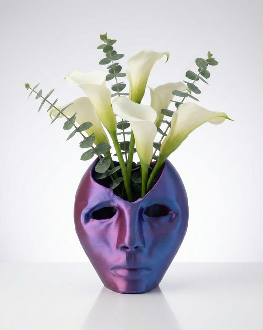 Surreal "Broken Mind" Face Planter & Desk Organizer