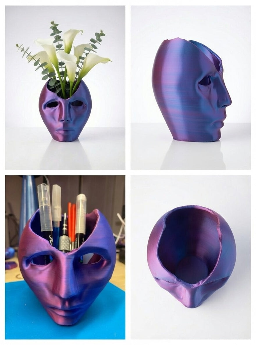 Surreal "Broken Mind" Face Planter & Desk Organizer